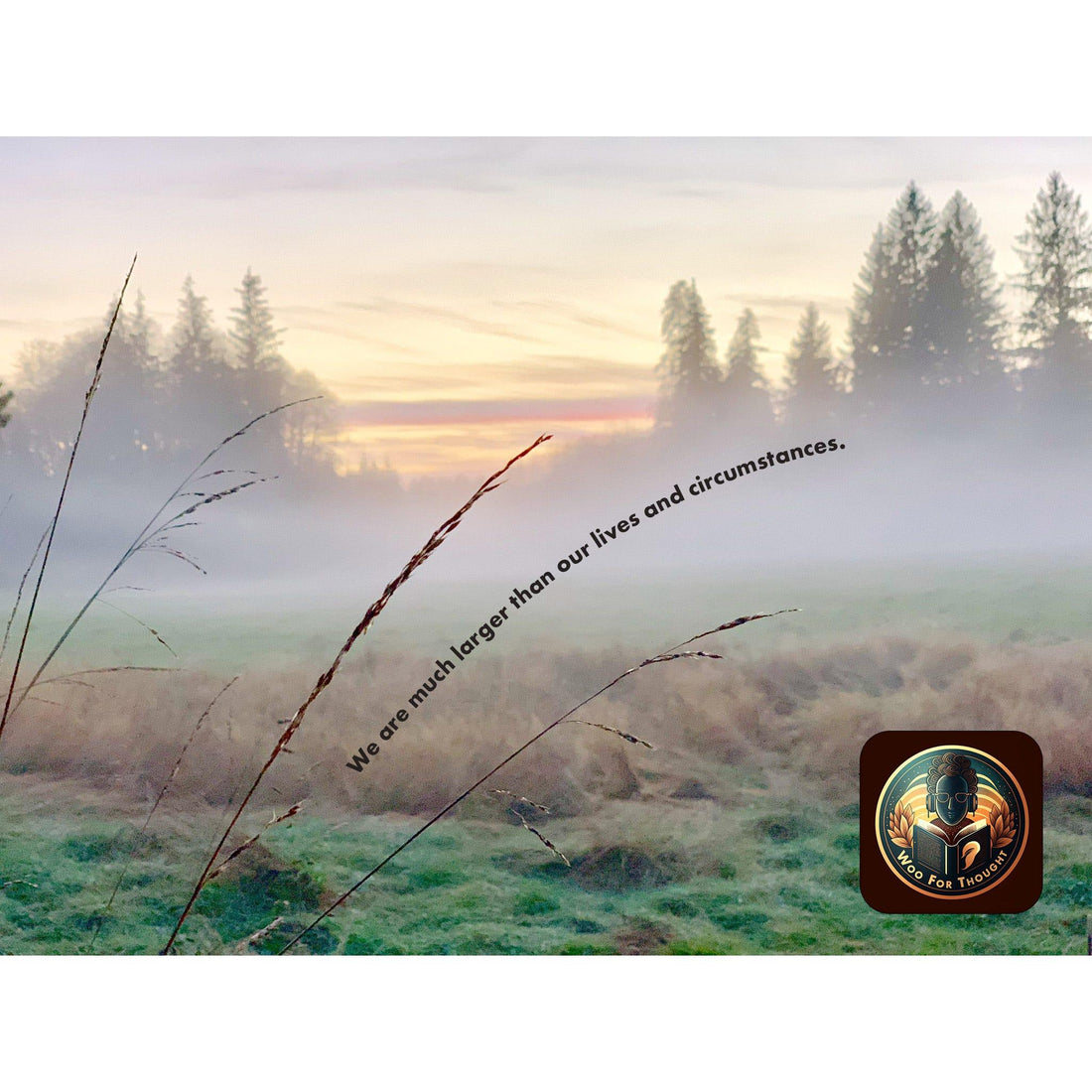 image for this article