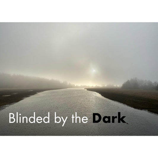 image for this article