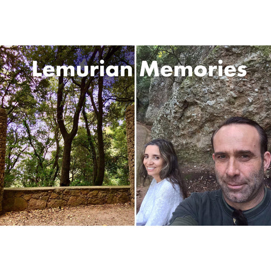 image for this article