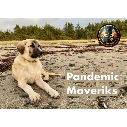 image for this article