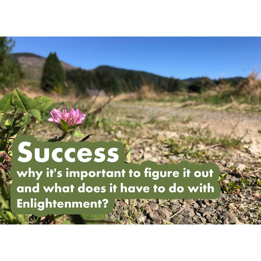 image for this article