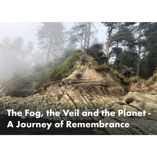 image for this article