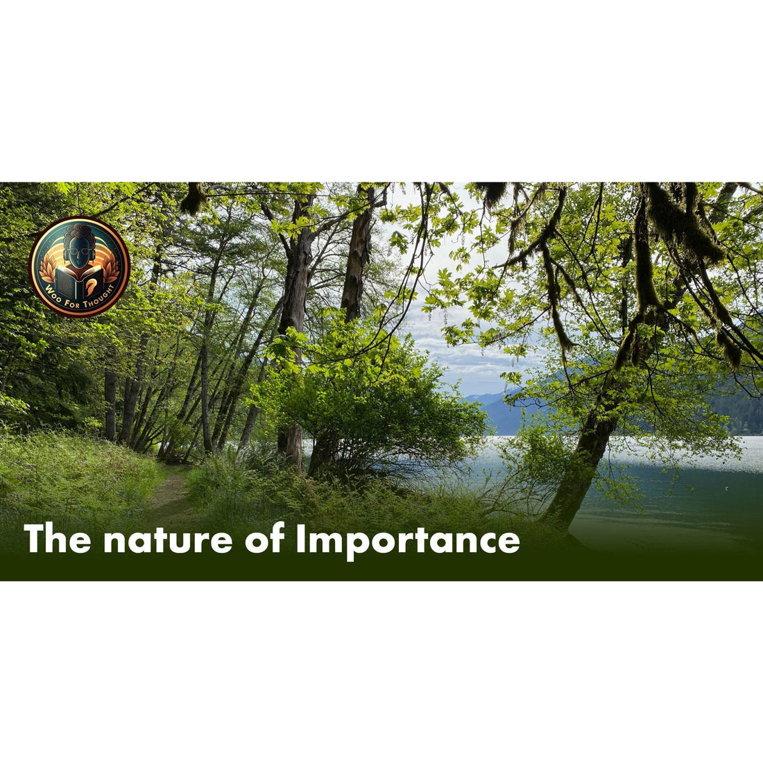 image for this article