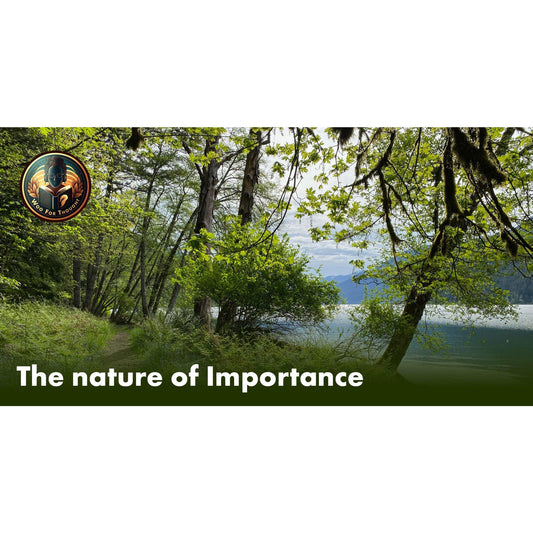 image for this article