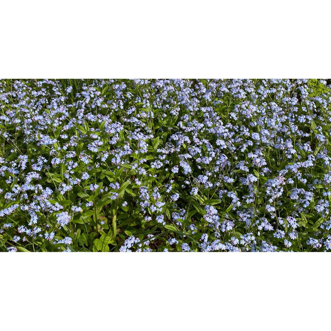 image for this article