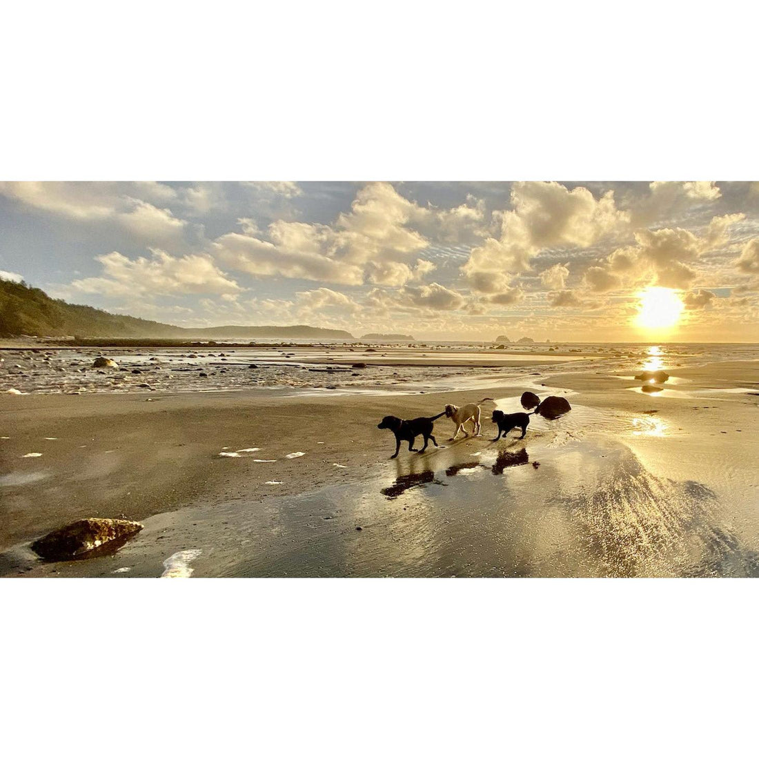 image for this article