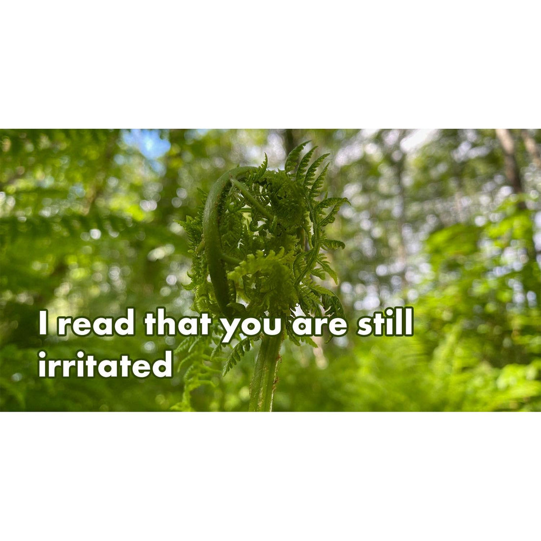 image for this article