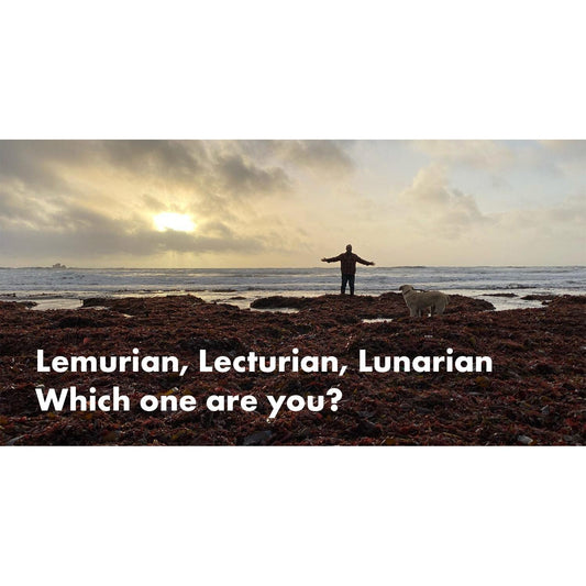 image for this article