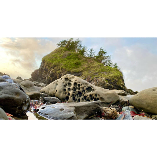 image for this article