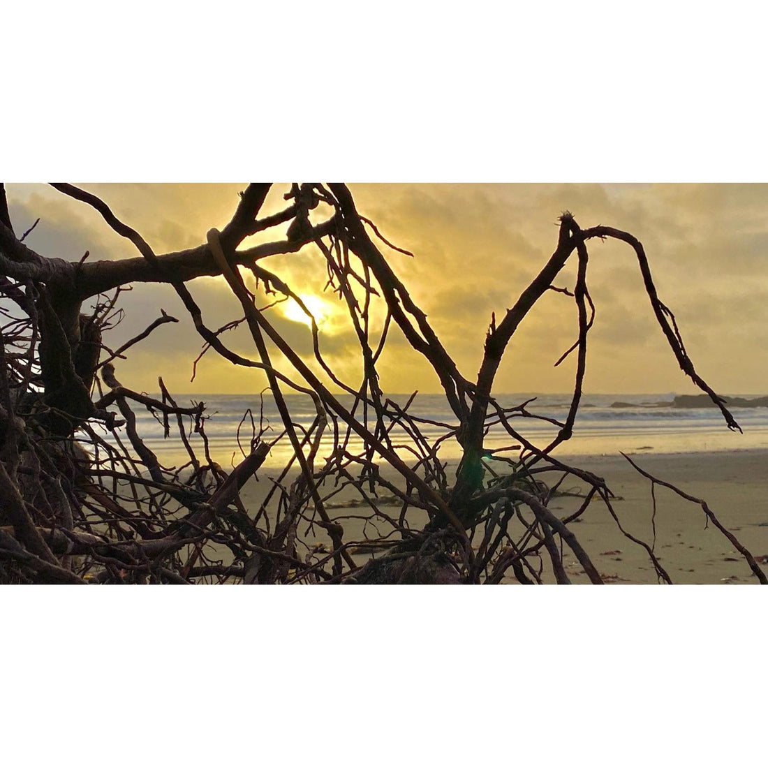 image for this article