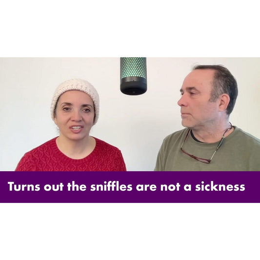 image for this article