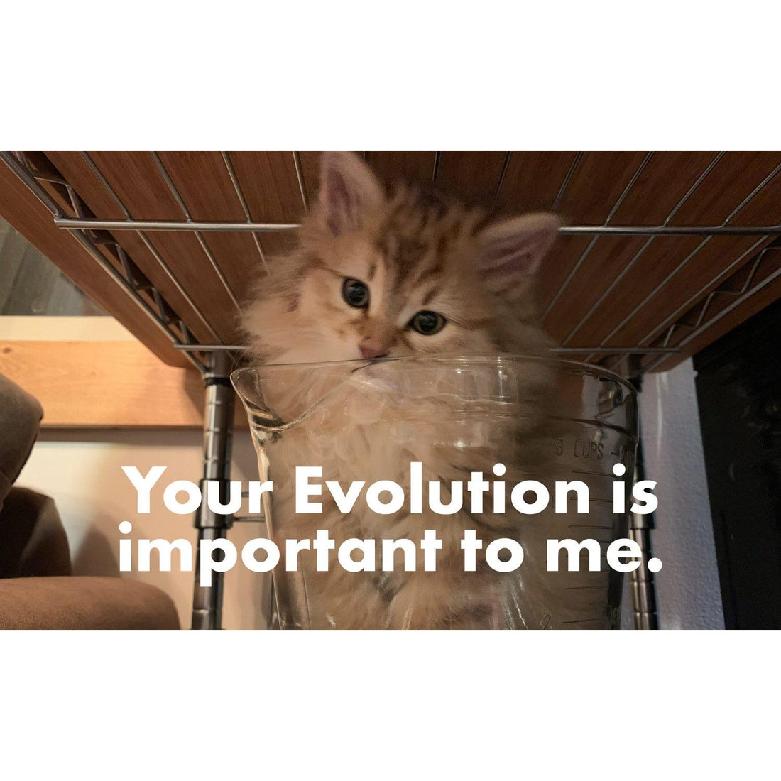 image for this article