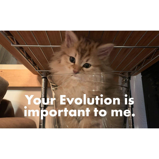 image for this article