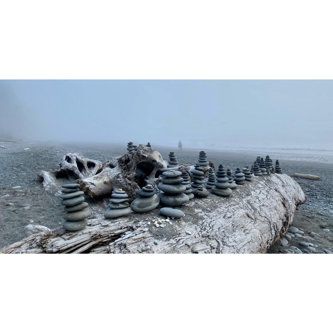 image for this article