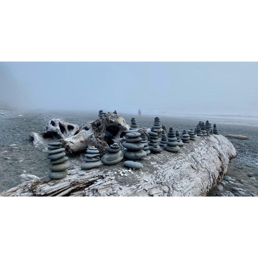 image for this article