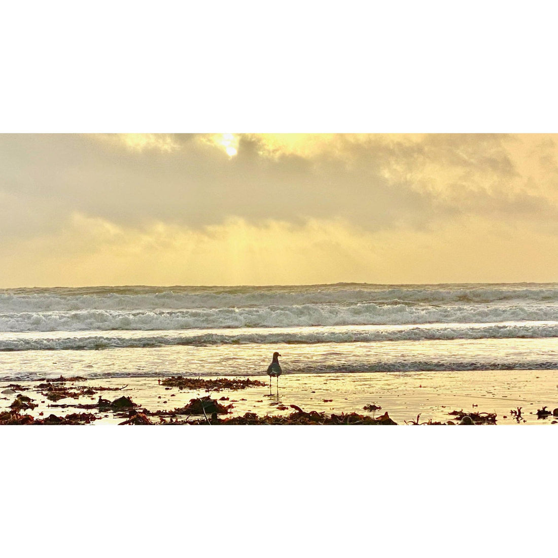 image for this article