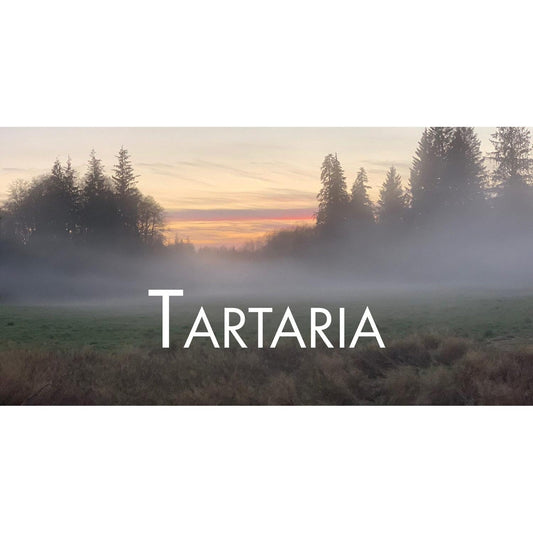 image for this article