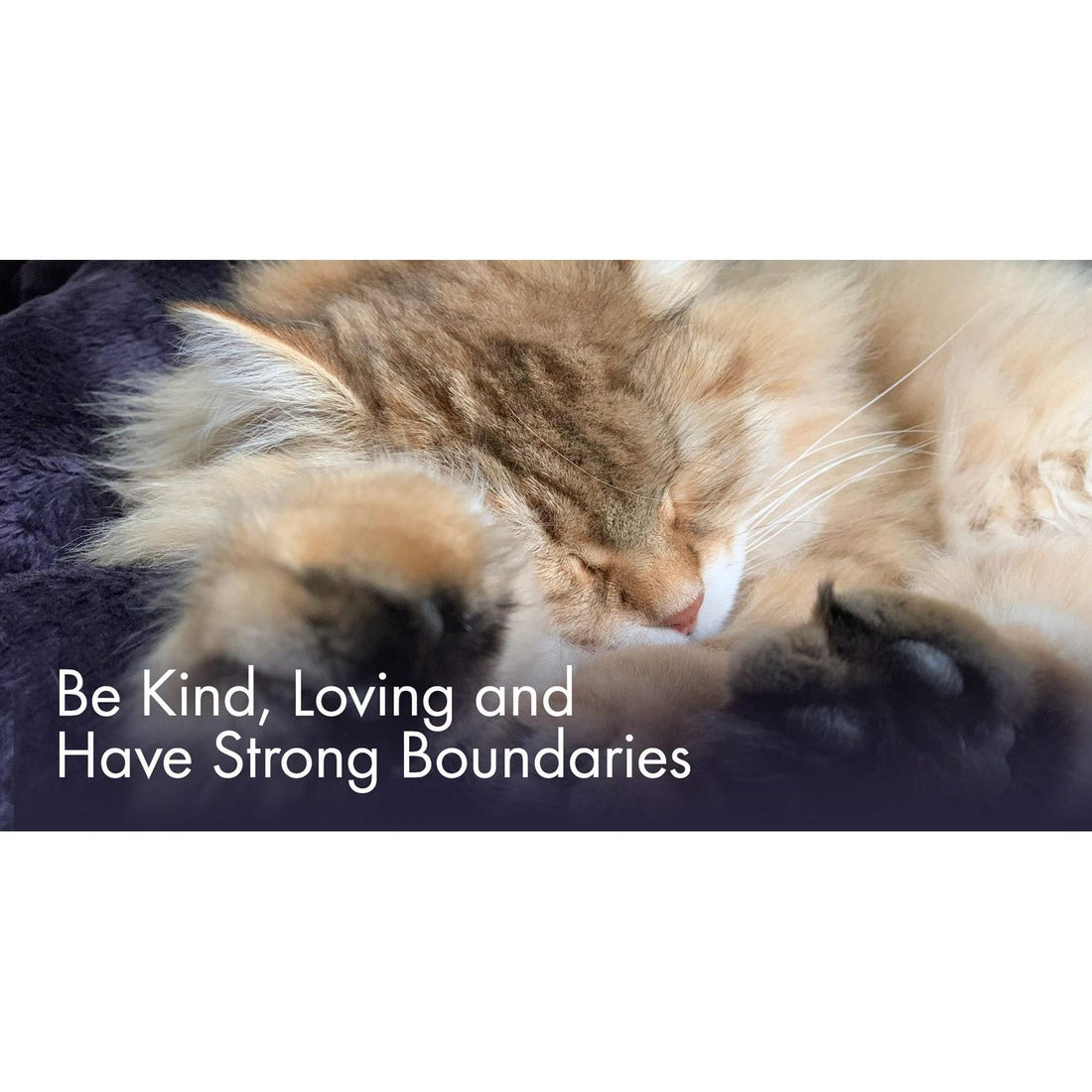 image for this article