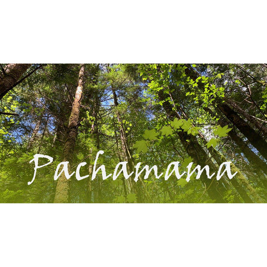 image for this article