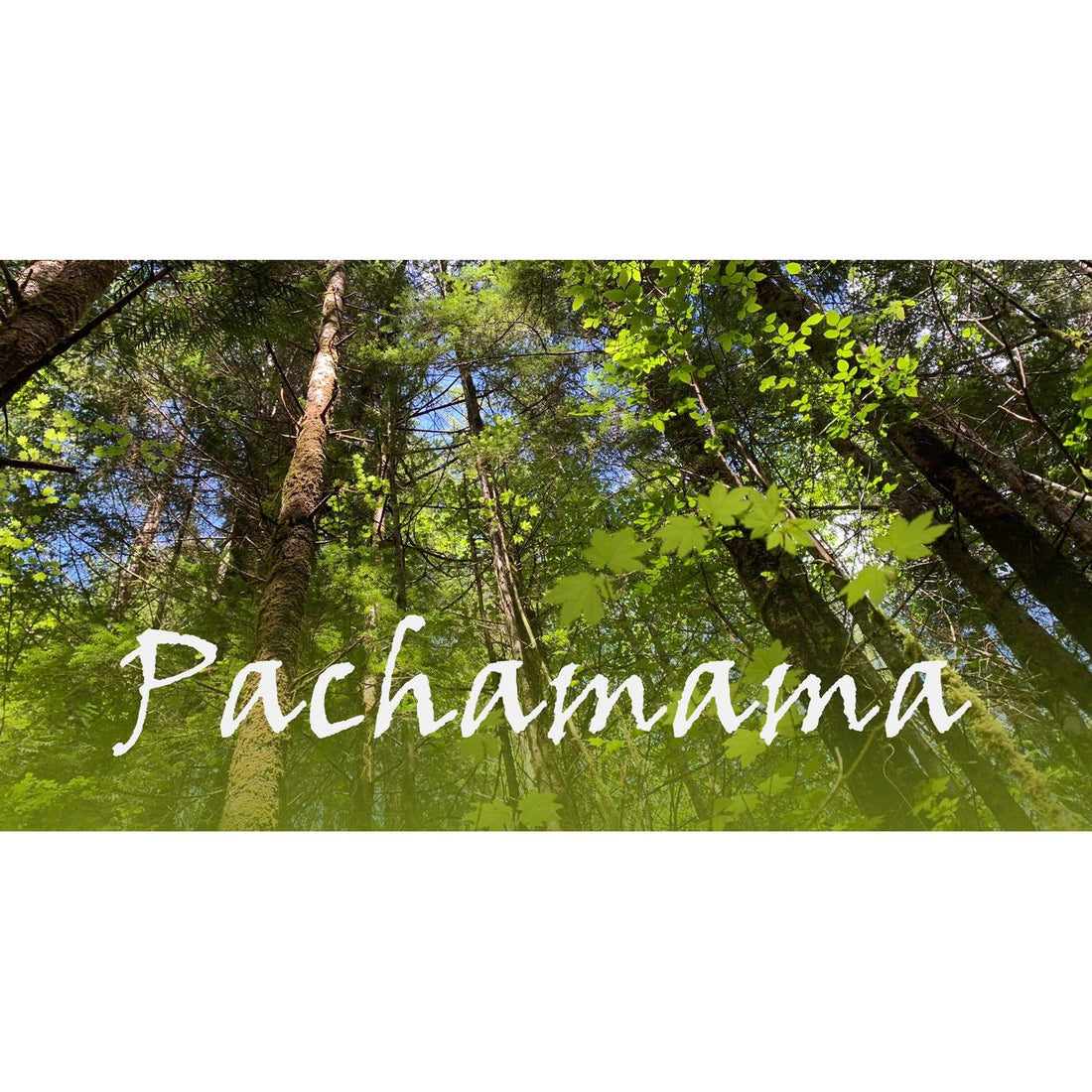 image for this article