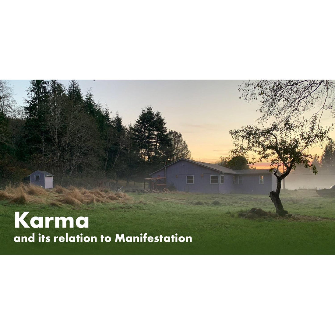 image for this article