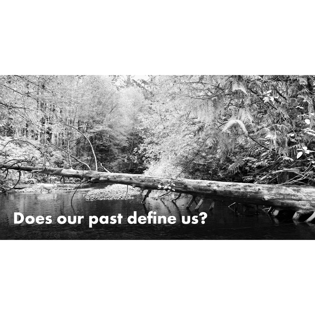 image for this article