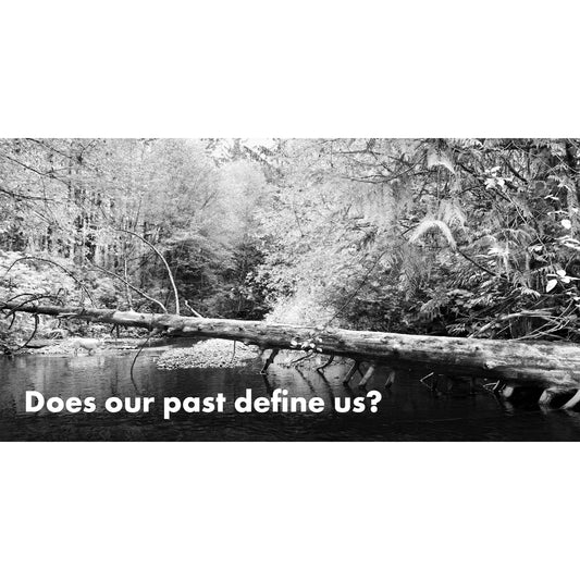 image for this article