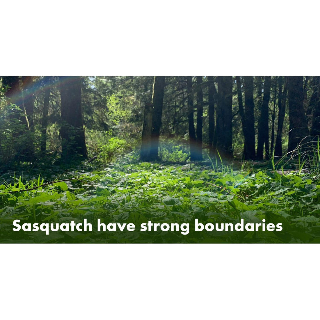 image for this article