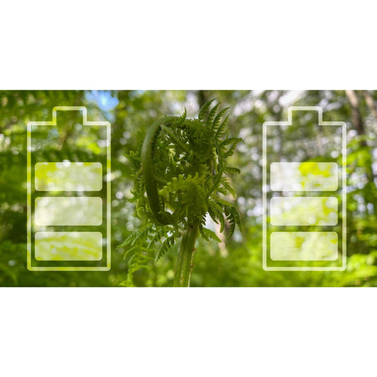 image for this article