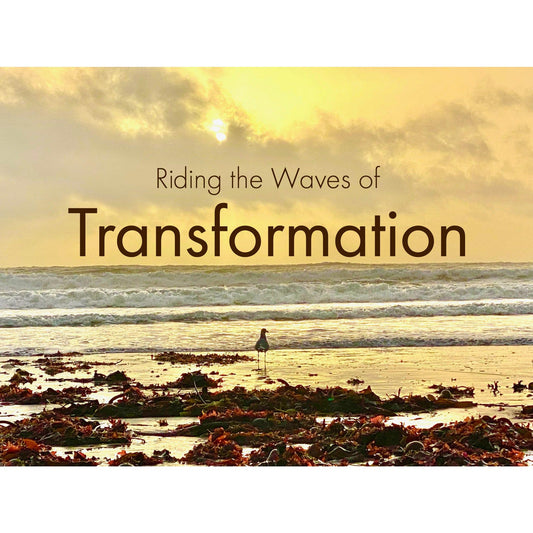 image for this article