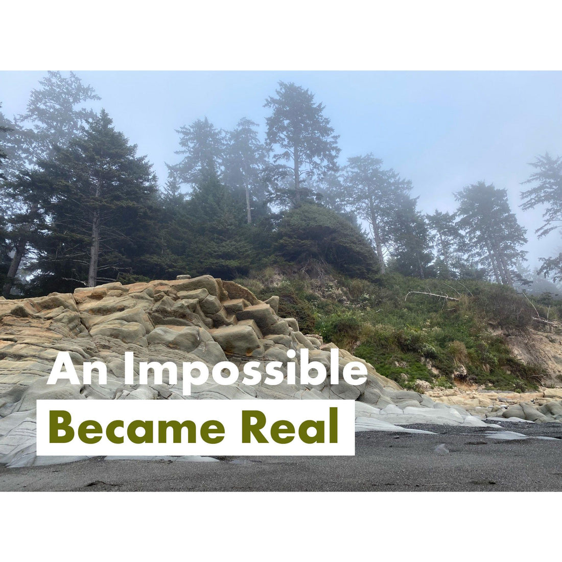 image for this article