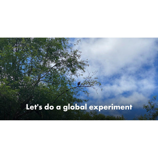 image for this article