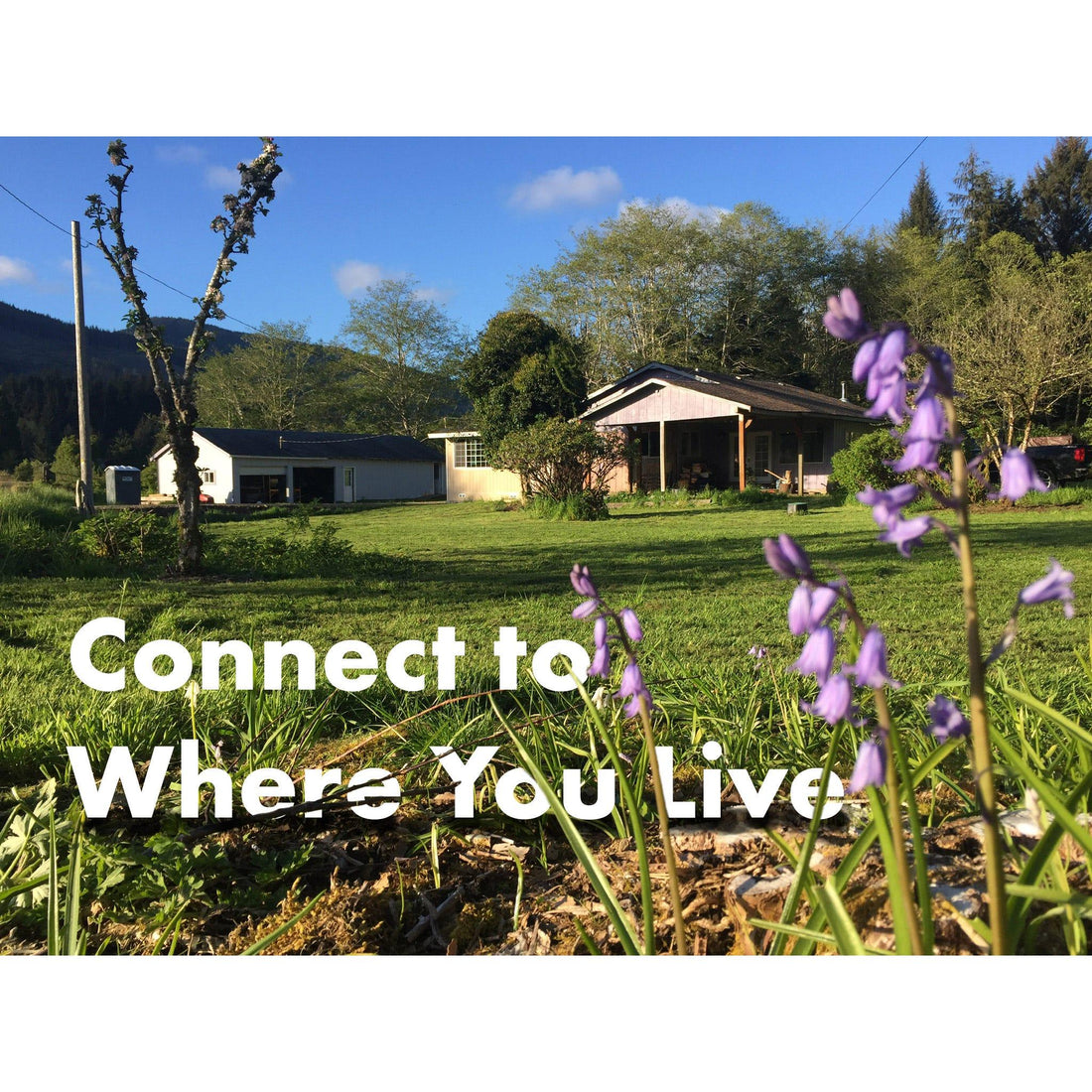 image for this article