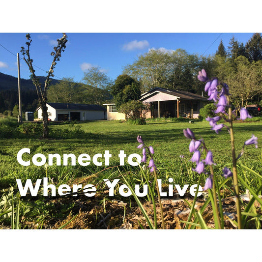 image for this article