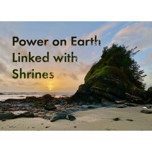 image for this article