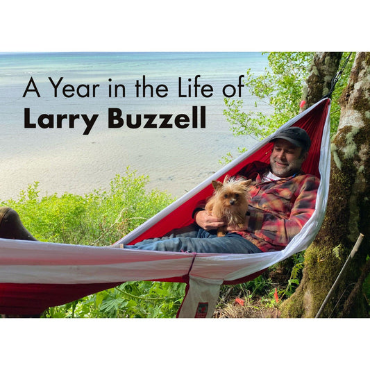 image for this article