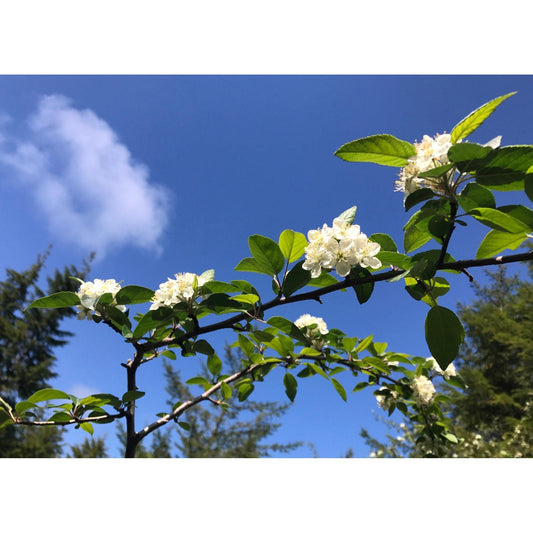 image for this article