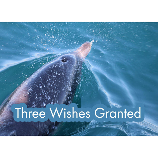 image for this article