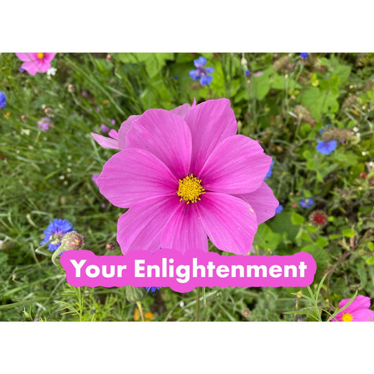 image for this article