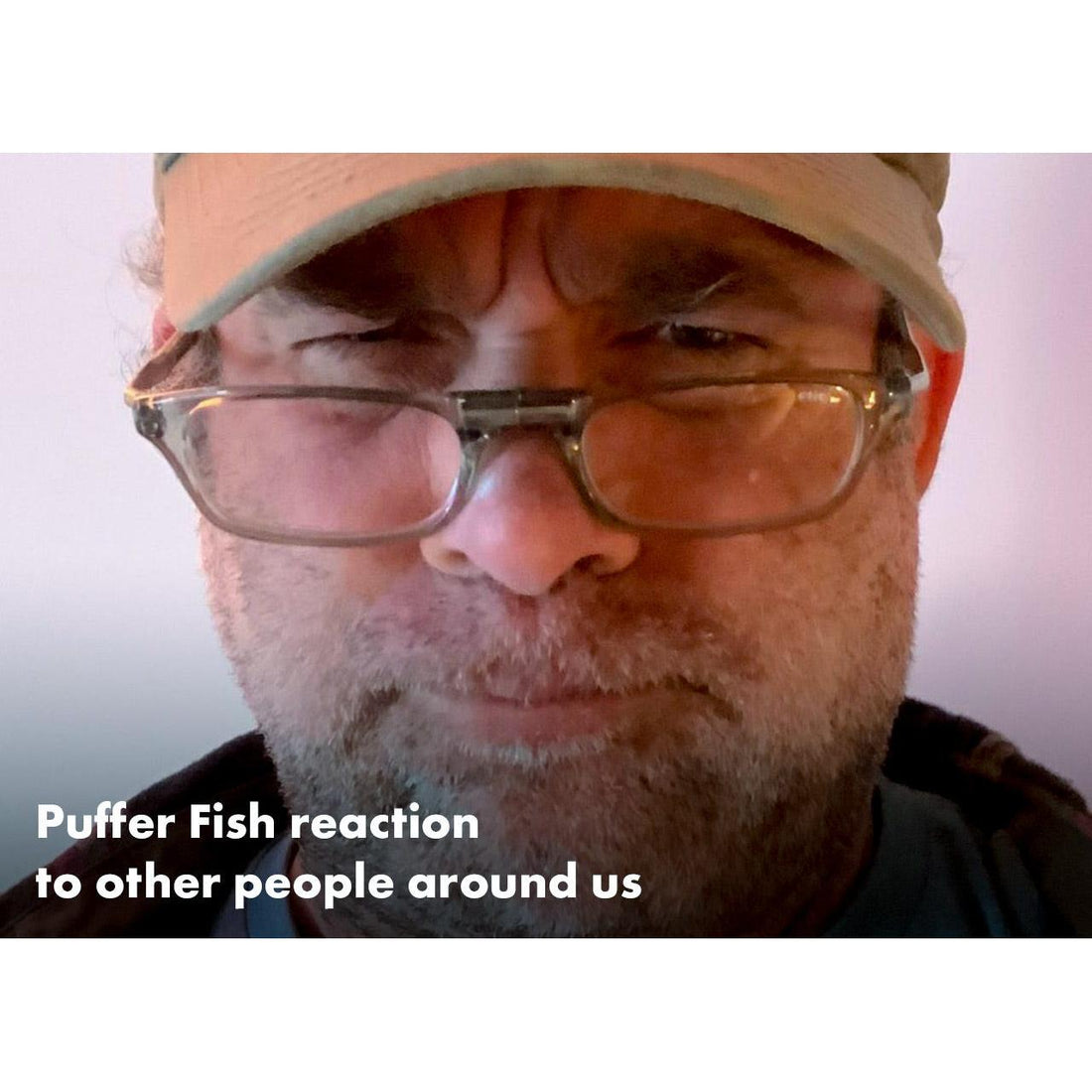 image for this article