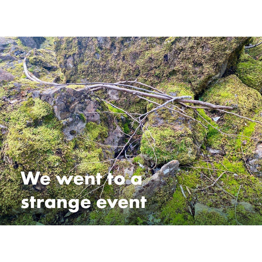 image for this article