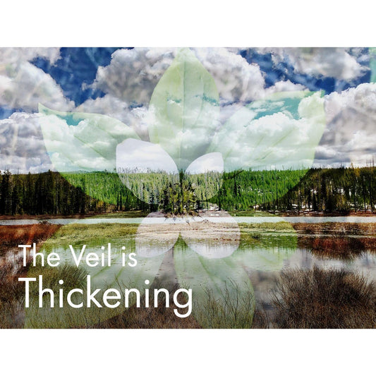 image for this article