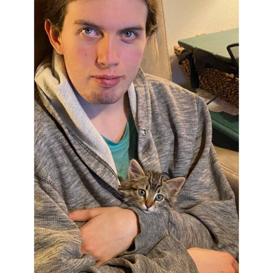 image for this article