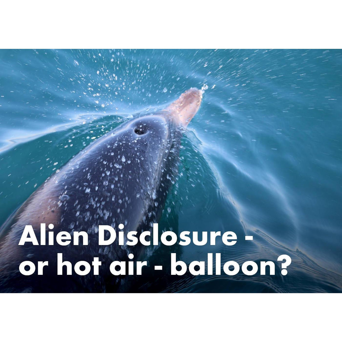 image for this article