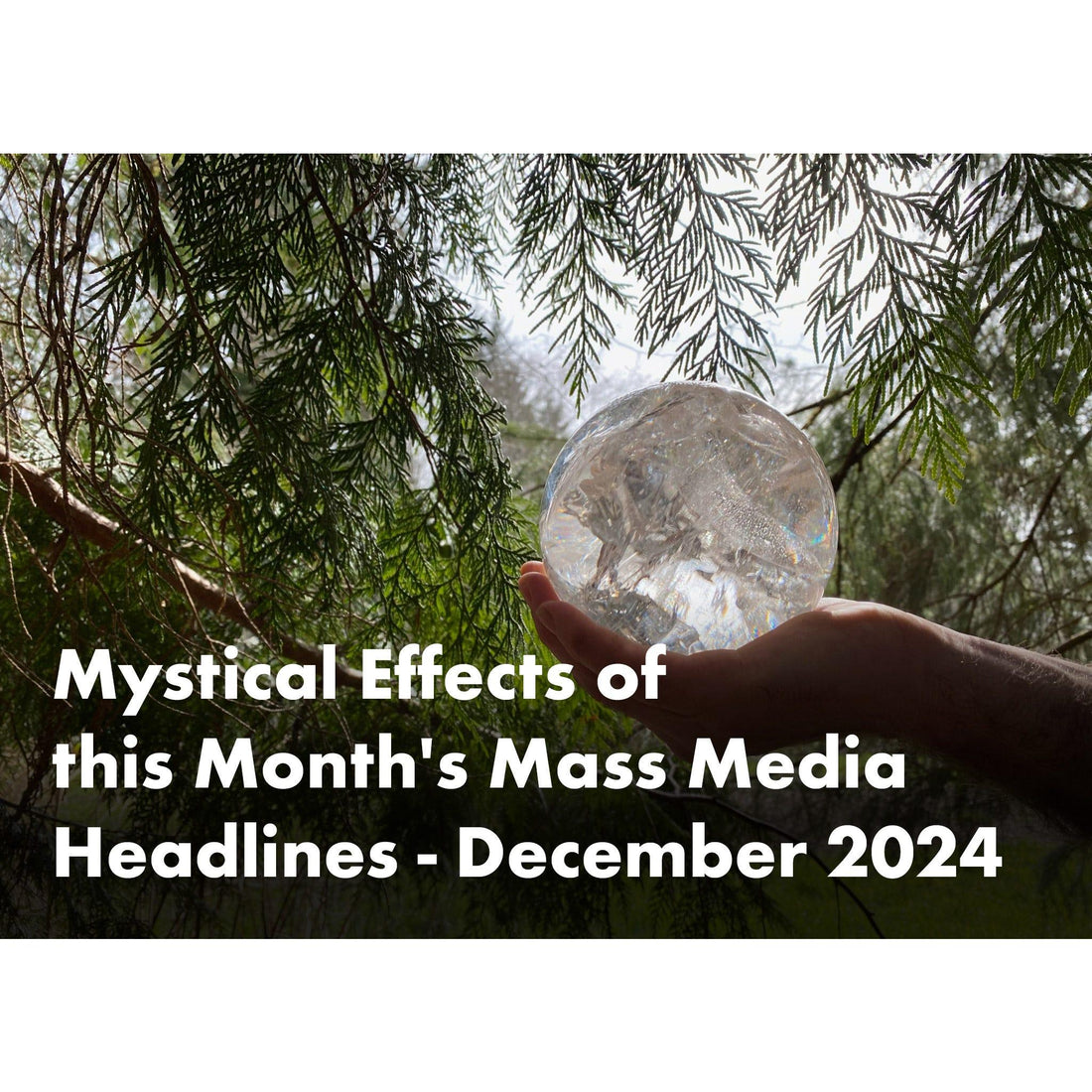 image for this article