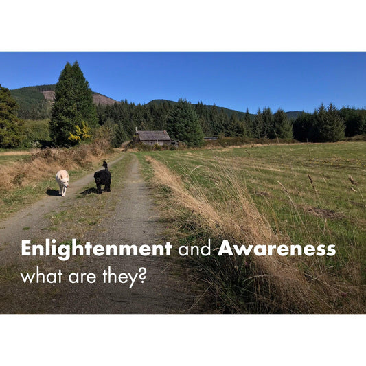 image for this article