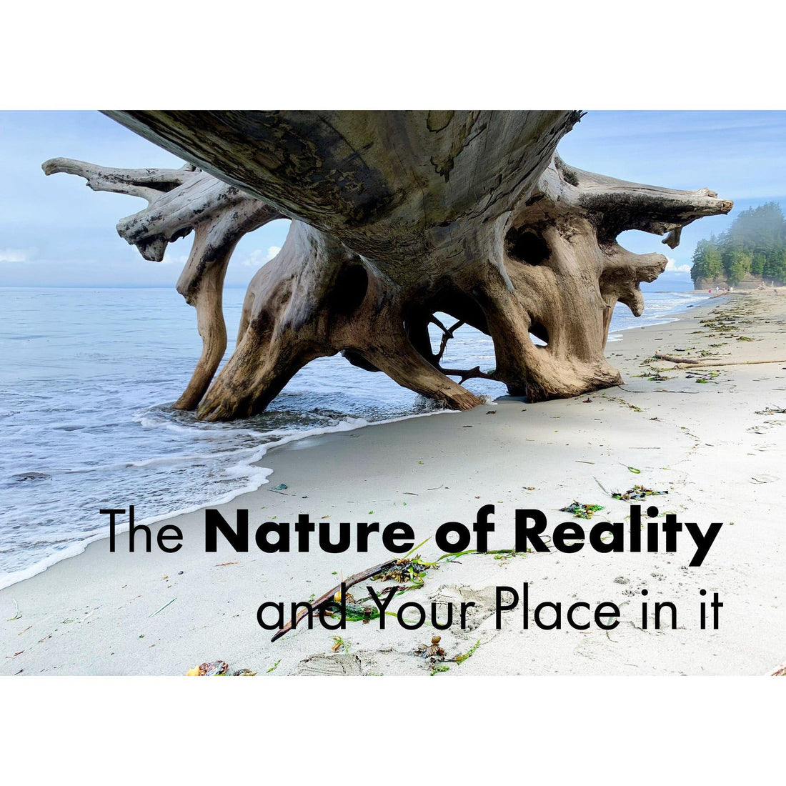 image for this article