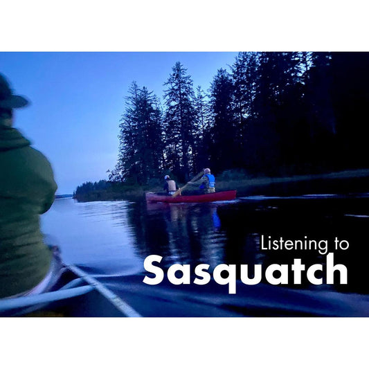 image for this article