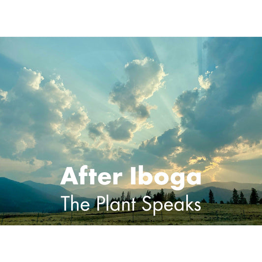 image for this article