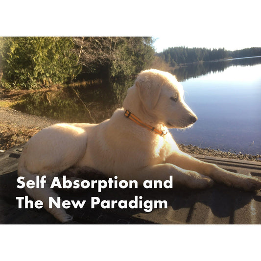 image for this article